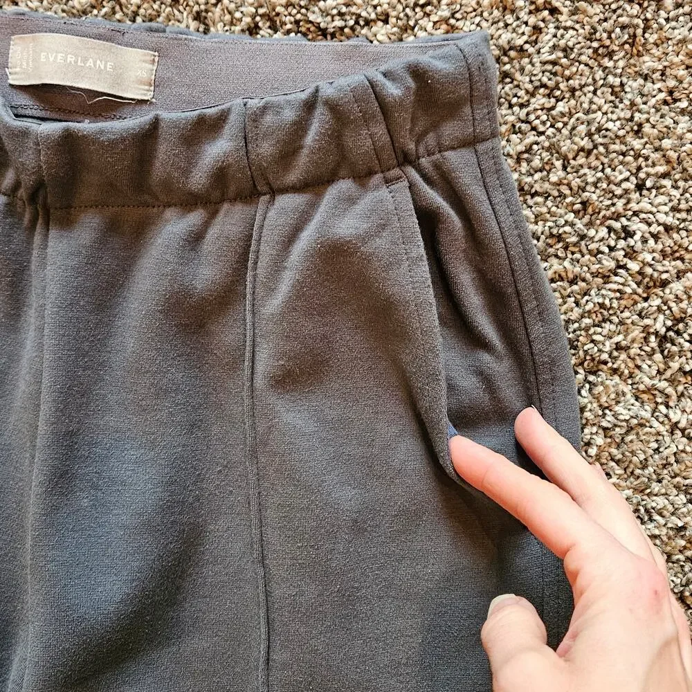 Everlane Dream Pant Womens Size XS Elastic Waist Double Knit Pintuck Tapered Leg